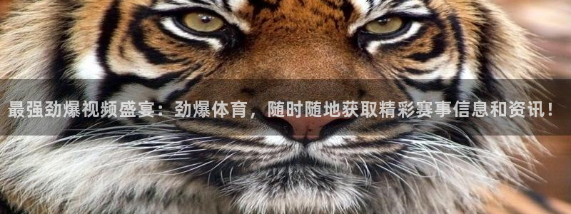 球友直播在线直播：最强劲爆视频盛宴：劲爆体育，随时随地获取精彩赛事信息和资讯！