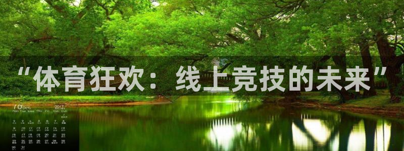 球友体育app免费看球：“体育狂欢：线上竞技的未来”