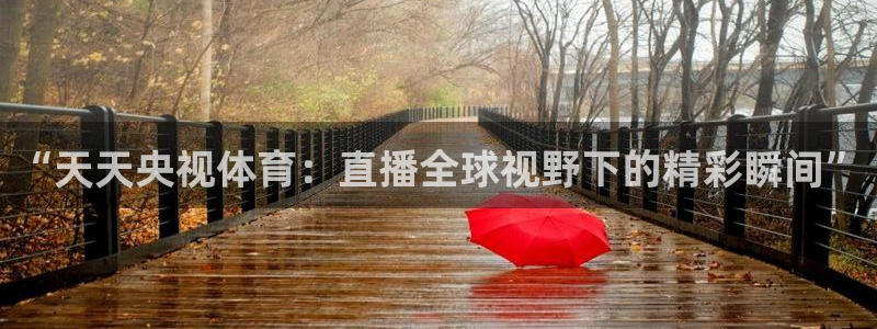 球友直播app：“天天央视体育：直播全球视野下的精彩瞬间”