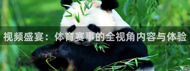 球友体育官网：视频盛宴：体育赛事的全视角内容与体验