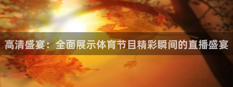 nba直播球友：高清盛宴：全面展示体育节目精彩瞬间的直播盛宴